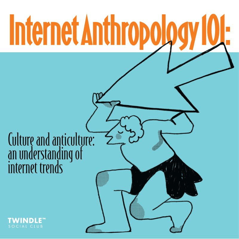 Internet Anthropology 101: Culture and Anticulture, an understanding of internet trends